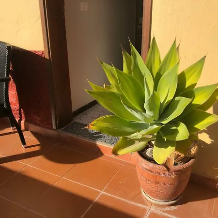 Casa La Tosca The Views * 테헤다